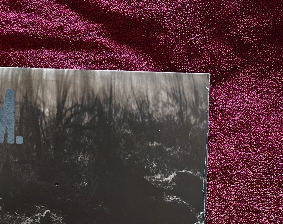 SEALED!!! STEREO! 1983 REM "Murmur" MINT VINYL COMPLETELY SEALED! SHARP CORNERS! - Image 4 of 4