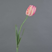 Artplants KüNstliche Papageientulpe Uakari, Rosa-Creme-GrüN, 65Cm, Ø6Cm