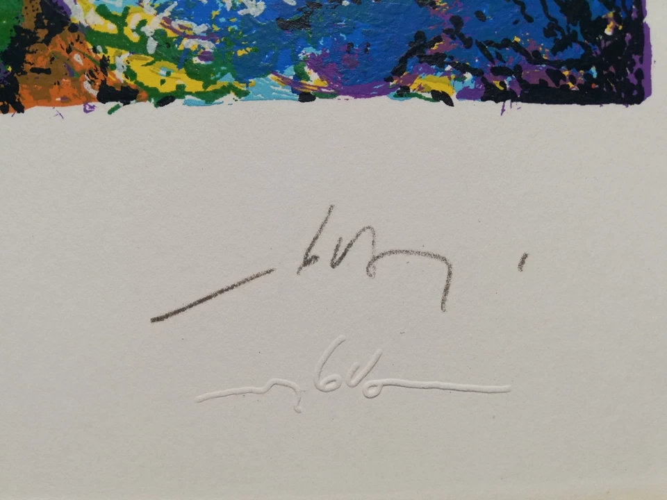 GIANNI DOVA: Rara Serigrafia cm. 100x70, Firmata, Numerata, Timbro. STUPENDA!!! - Immagine 3 di 4