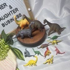 Lot of 13 Toy Longneck Dinosaurs   Sauropod Dino Bundle   Mixed Sizes  Colors