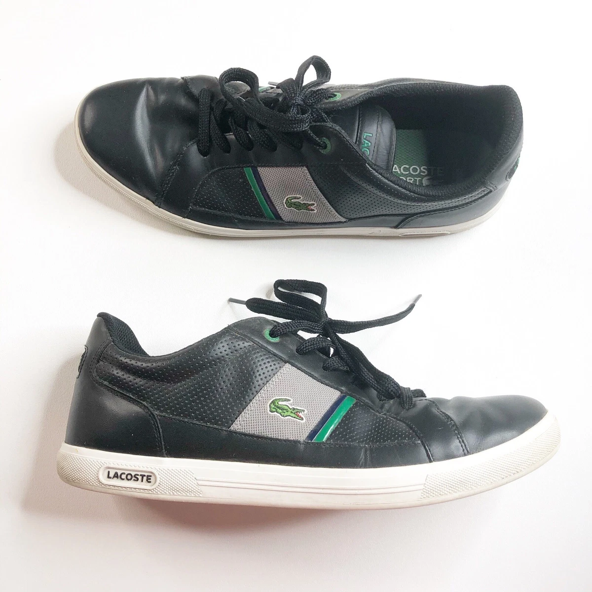 Lacoste sport cheap ortholite