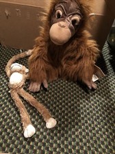 Animal Planet The Orangutan Swinger And Baby Chimpanzee