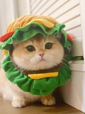 Hamburger Style Pet Headwear