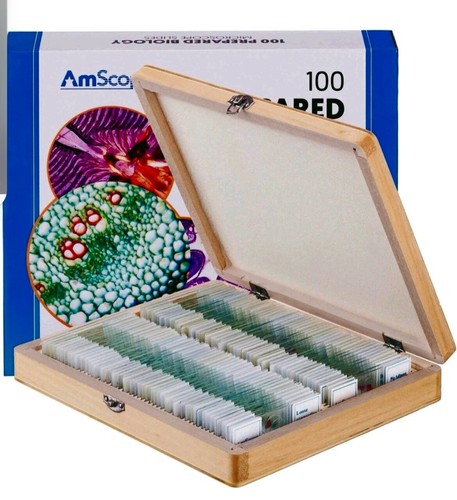 AmScope PS100A 100 PC Prepared Biological Microscope Glass Slides NEW in Box