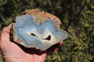BEAUTIFUL - MINERAL - LUNA  AGATE - Catron County, New Mexico - NICE!