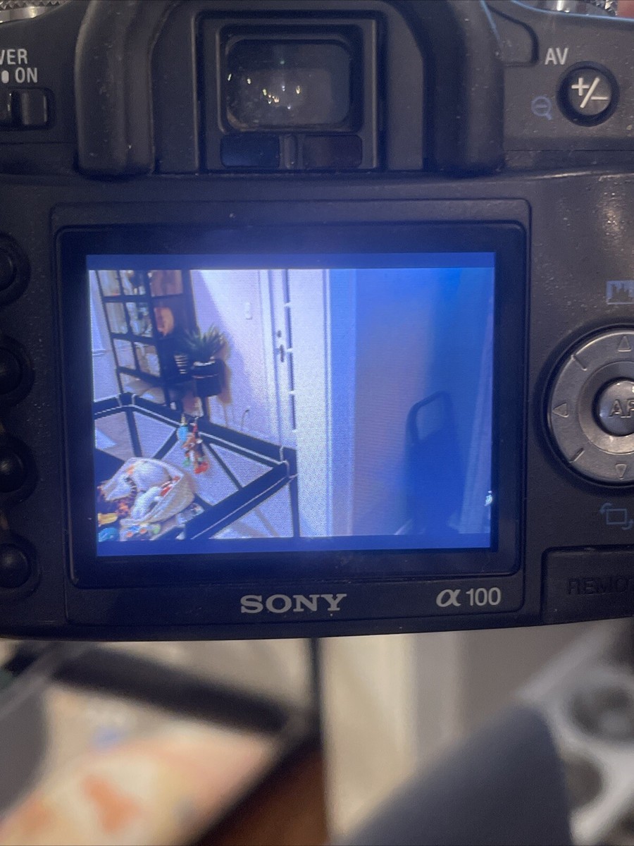 SONY α 100 81PxCQvCNYS._UF894,1000_QL80_.jpg