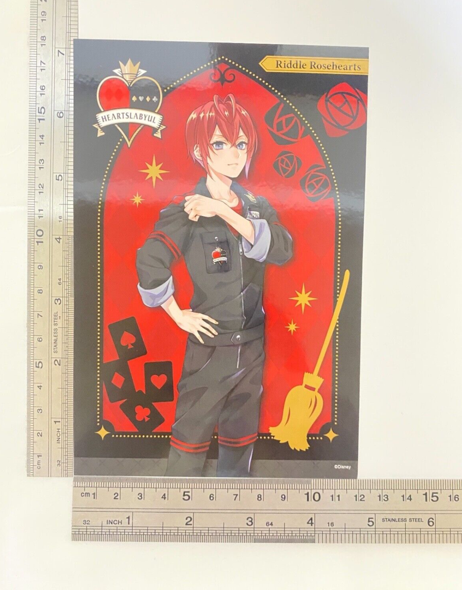 Riddle Rosehearts Disney Twisted Wonderland Gymnastics Limited