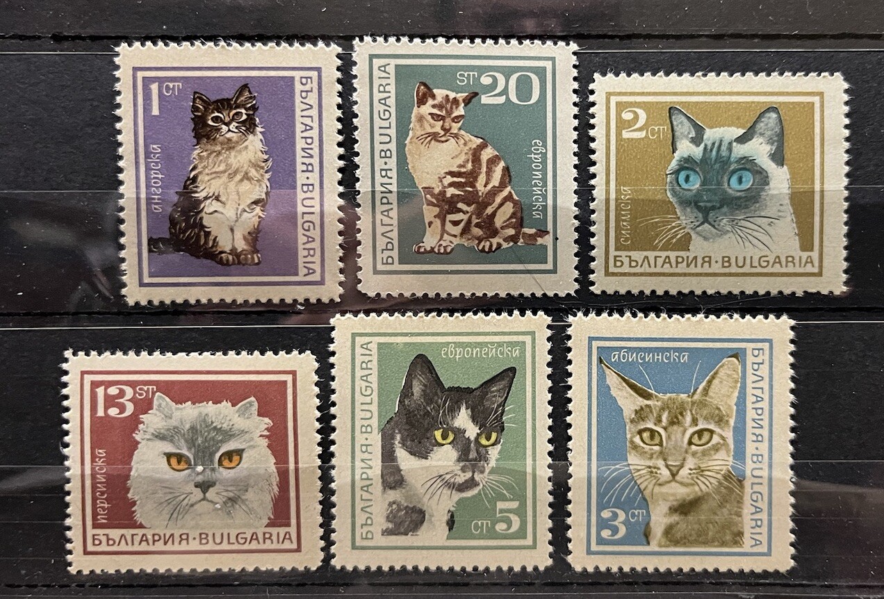 Foto 1 di 1