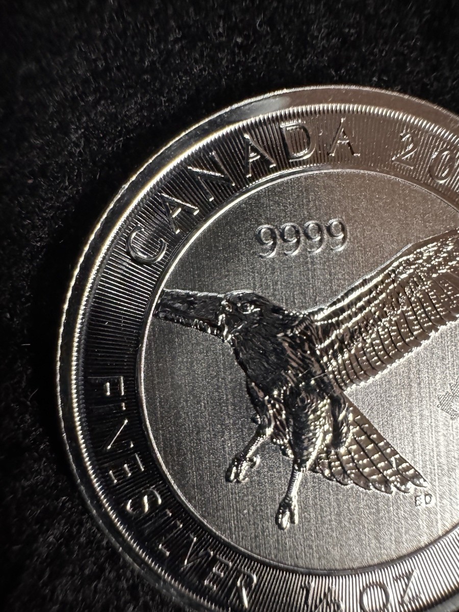 2021 Silver 1/2 OZ RED TAILED HAWK Bullion Coin Royal Canadian