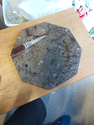 Stein Ammonit Orthocera Fossil Achteck Servierplatte Käse Wurstwaren Brett