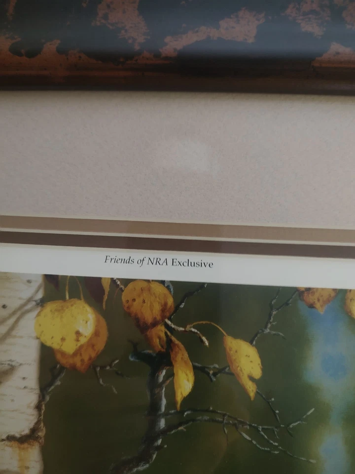 Nowhere To Go" por el artista de vida silvestre Tom Mansanarez Foto 2 de 4