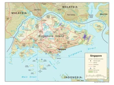 Singapore Physical Geography Geographic Physiographic Map Country Nation Print