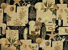 NAUTICAL OCEAN BOTANICAL Cotton Fabric SEA SHELL Coral Seaweed DIY Craft BTY