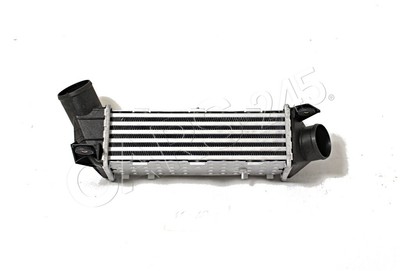Ladeluftkühler Für VW SEAT Flight Polo Classic Cordoba 6K0145805C