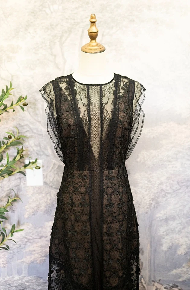 Alexis Kasia Plunge Black Lace Maxi Dress sz S Small Gown Beautiful NWOT $1200 - Image 3 of 4