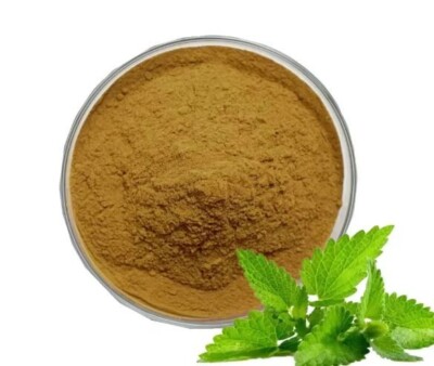 Zitronenmelisse Extrakt 100% Pure (Melissa Officinalis) Pulver Hochwertig Gratis