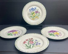Thomson Pottery Floral Garden Dinner Plates Set of 4-10.5" Botanical Florals EC