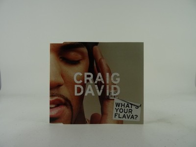 CRAIG DAVID WHAT'S YOUR FLAVA? (B21) 4 Track CD Single including Picture Sleeve 