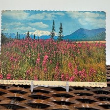 1974 Mt. McKinley Alaska Postcard – Fireweed Field Scenic View, Mailed from Park