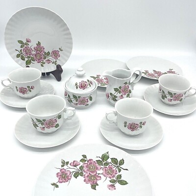 Vintage Retsch & Co Wunsiedel Bavaria Porcelain 15 piece Tea Set
