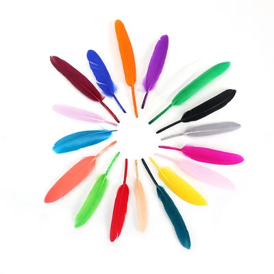 Neotrims 10 Pcs Goose Quill Feathers,18 Colors,Loose,Trimmings,Crafts,Millinery