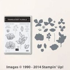 Stampin Up Translucent Florals Stamp Set Dies Bundle