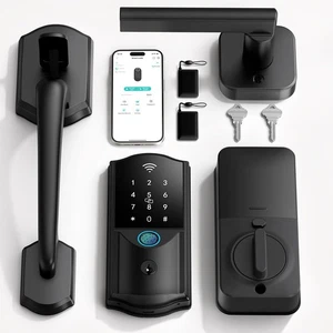 Built-in WiFi Smart Door Lock with Handle Set Fingerprint Keyless Entry Deadbolt