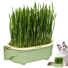 New Cat Grass Planting Box Growing Box Hydroponic Soil-Free(Not Contain Seeds)