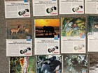 Wildlife as Canon Sees It  Print Ads Lot of 35 - 1980's  10 x 7 - Camera FD — photo 10