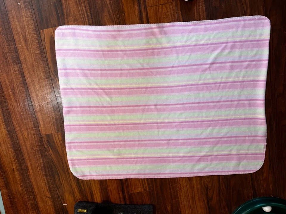 Circo Target Y2K 复古婴儿安全毯 Lovey 粉色和绿色条纹羊毛 REA — 第 3/4 张图片