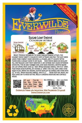 1000 Sugar Loaf Endive Seeds - Everwilde Farms Mylar Seed Packet - Picture 2 of 3