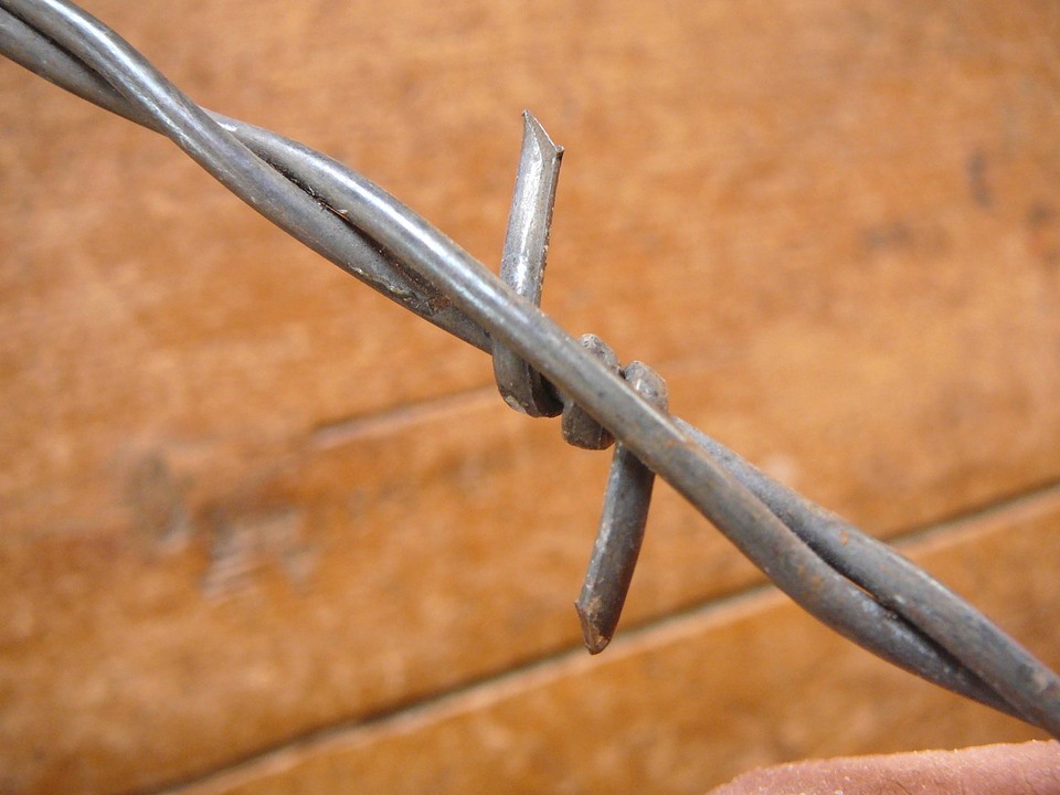 GLIDDENS LONG TWO POINTED FLAT BARBS on TWO TWISTED LINES - ANTIQUE ...