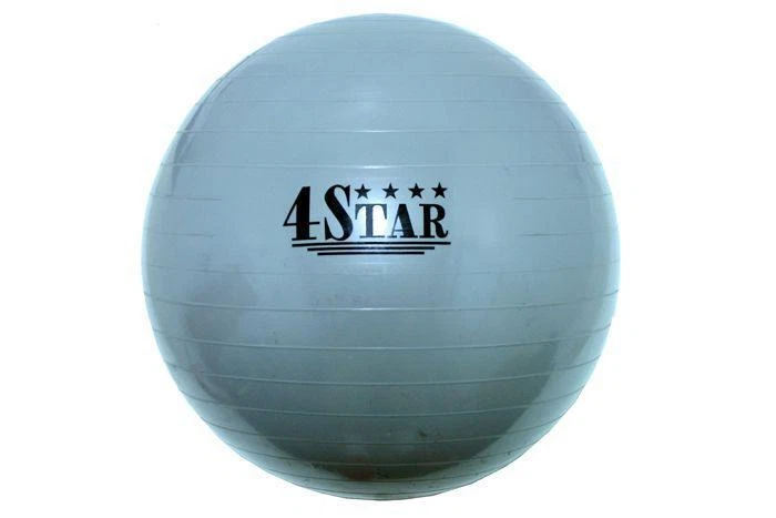 Heavy Duty Exercise Ball Balancing Gym Yoga Grey Ball 368 eBay