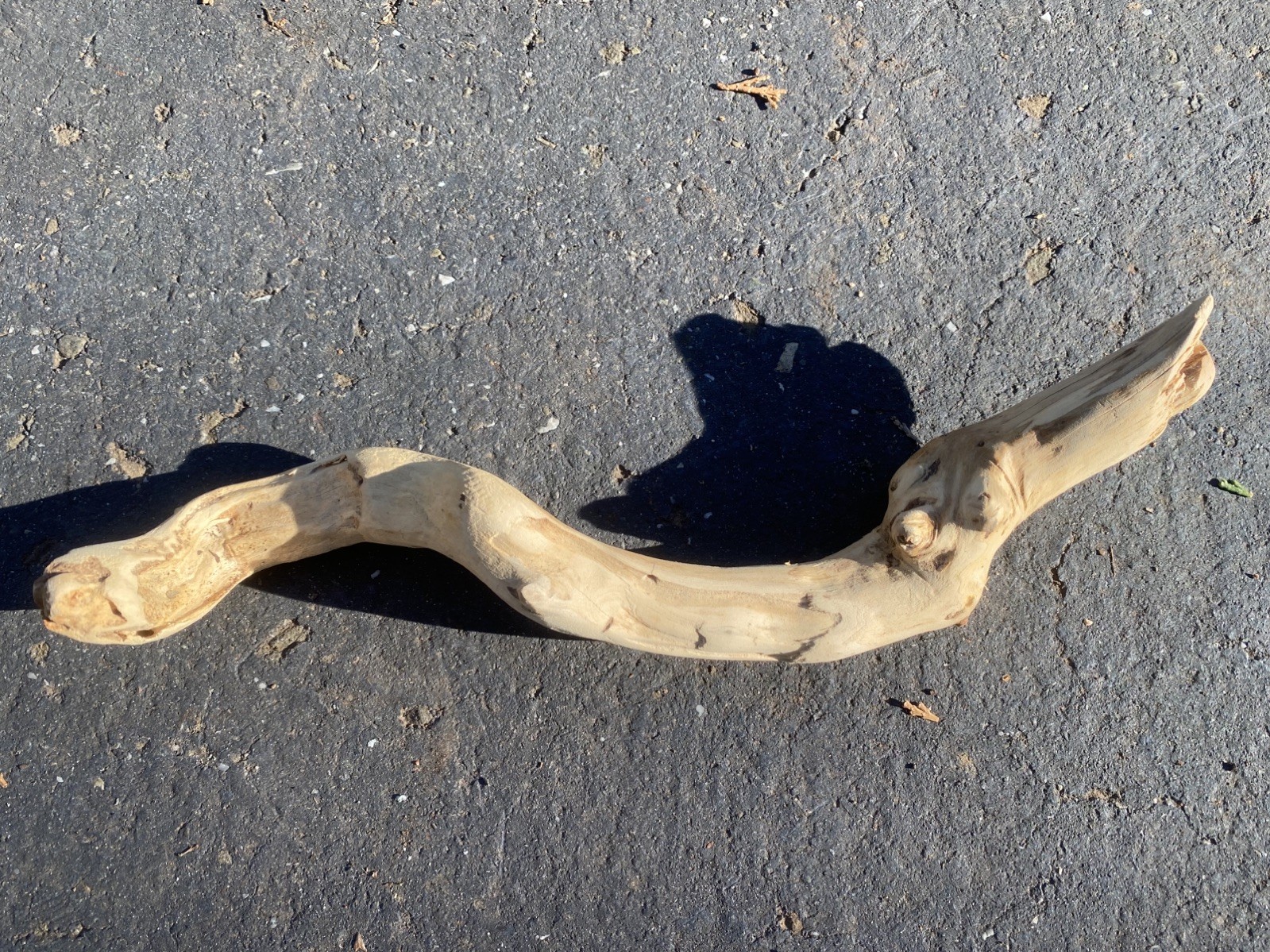All natural manzanita, 10&rdquo; hand sanded root for aquarium, 