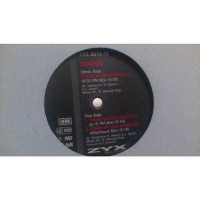 Ginger Brew - Stand Up (And Shout It) (Vinyl 12'' - 1992 - DE - Original)