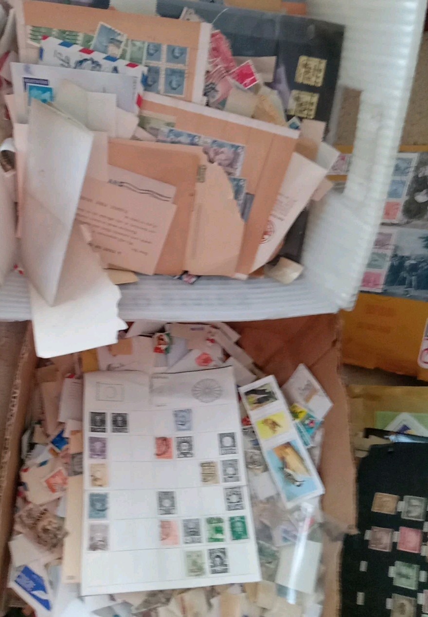 Bild 1 von 22