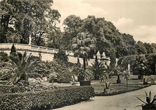AK - Potsdam Sanssouci - Sizilianischer Garten - Parkanlage mit Palmen
