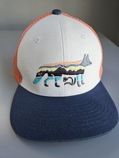 Patagonia Trucker Hat Kids Blue orange white
