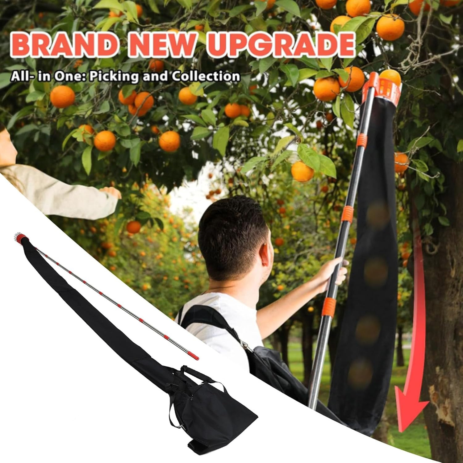 Fruit Picker Pole Tool with Basket Telescoping Long Handle, 13FT Adjustable Oran