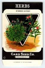 Summer Savory Herb 1920's Card Seed Co Packet EMPTY Vintage Fredonia New York NY