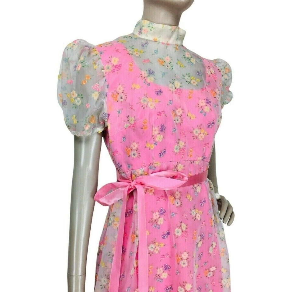 Maxi Vestido Pradera De Colección Años 60 Cottagecore Terciopelo Floral Chifón Superpuesto Manga Abullonada Foto 2 de 4