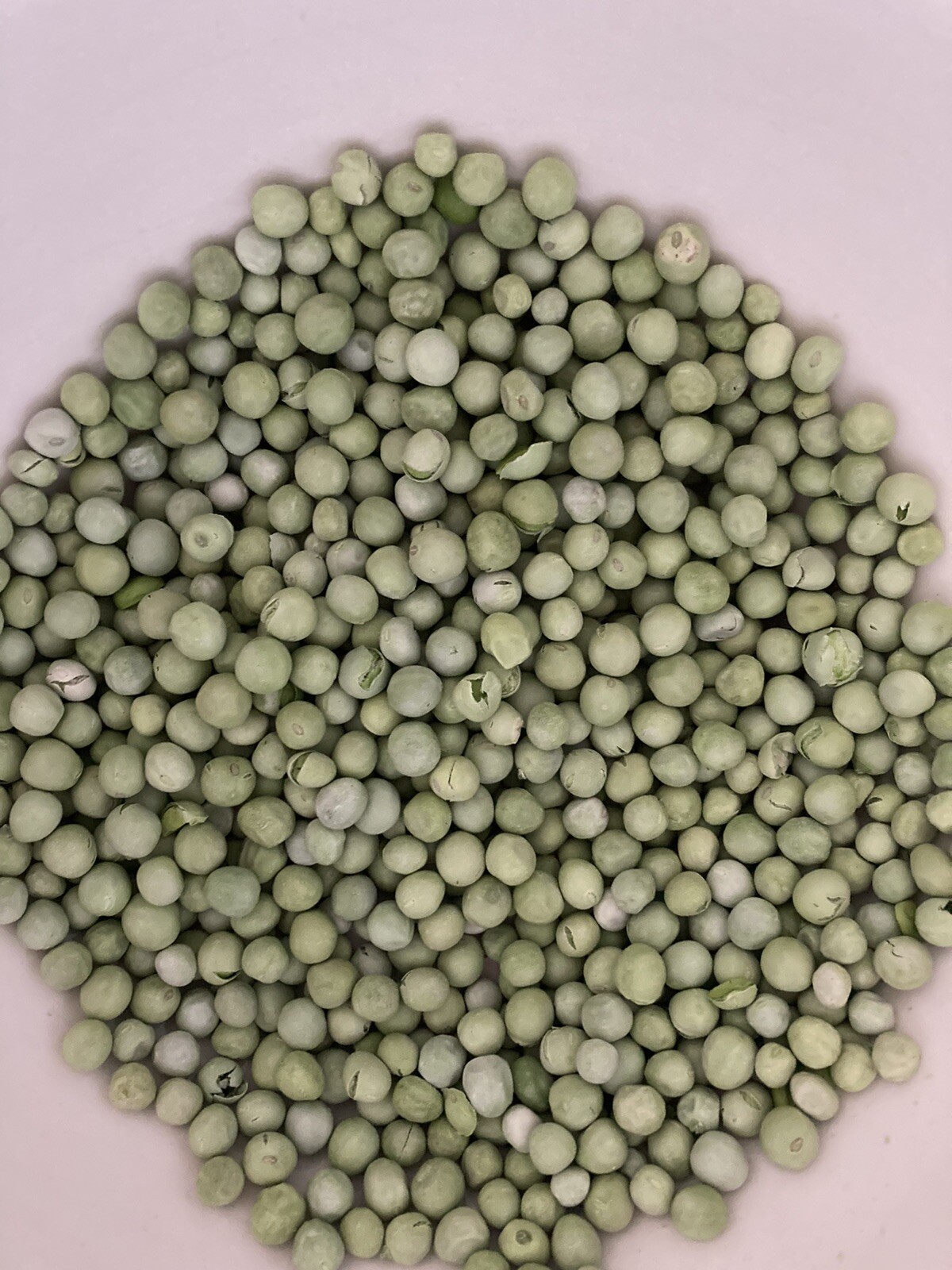 FreezeDried Peas, 1 cup per bag, Long Term Storage Food INSTITUTO