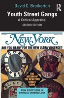 Youth Street Gangs A Critical Appraisal David C. Brotherton Taschenbuch Englisch