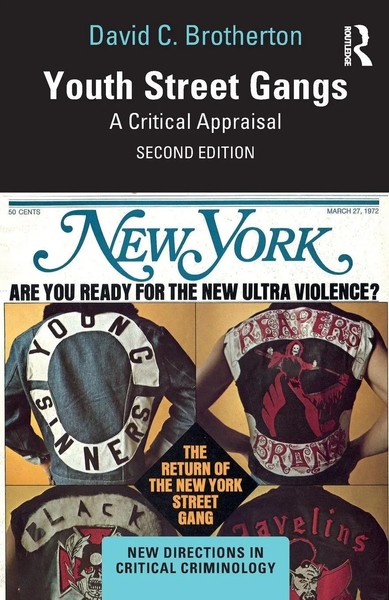 Youth Street Gangs A Critical Appraisal David C. Brotherton Taschenbuch Englisch-image