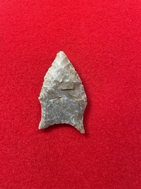 TEXAS ARROWHEAD - San Patrice Paleo   Published AUTHENTIC INDIAN ARTIFACT Hogeye