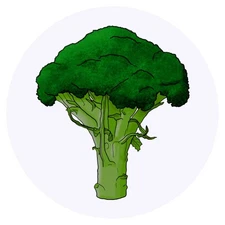 24 x 'Broccoli' Stickers - for Crafts, Scrapbooking and Labelling (SK00040055)