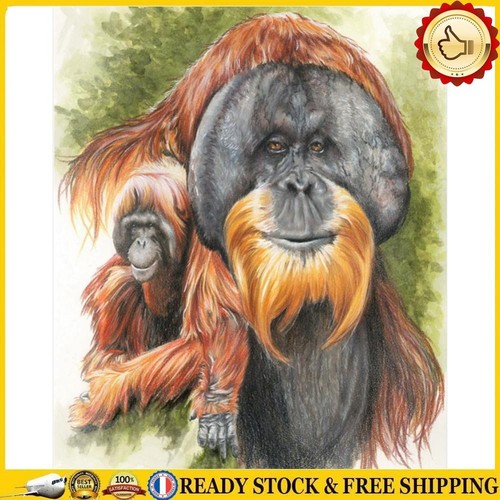 Peinture Diamant 5D DIY Lion Bob Marley – Kit Complet Broderie Strass 40x50 Cm, Toile Ronde Art Mural Décoration Unique
