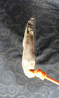 Picasso Marble/Jasper End Piece - 1 Lb, 9 Ozs - Lapidary - Crafts - Display — photo 7