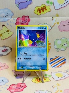 Mudkip Pokemon Card | eBay