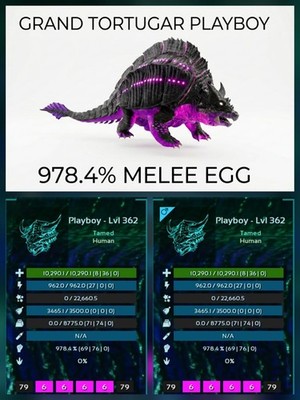 GRAND TORTUGAR Top Stats Egg Pair  Ark Survival Ascended PVE Official Crossplay